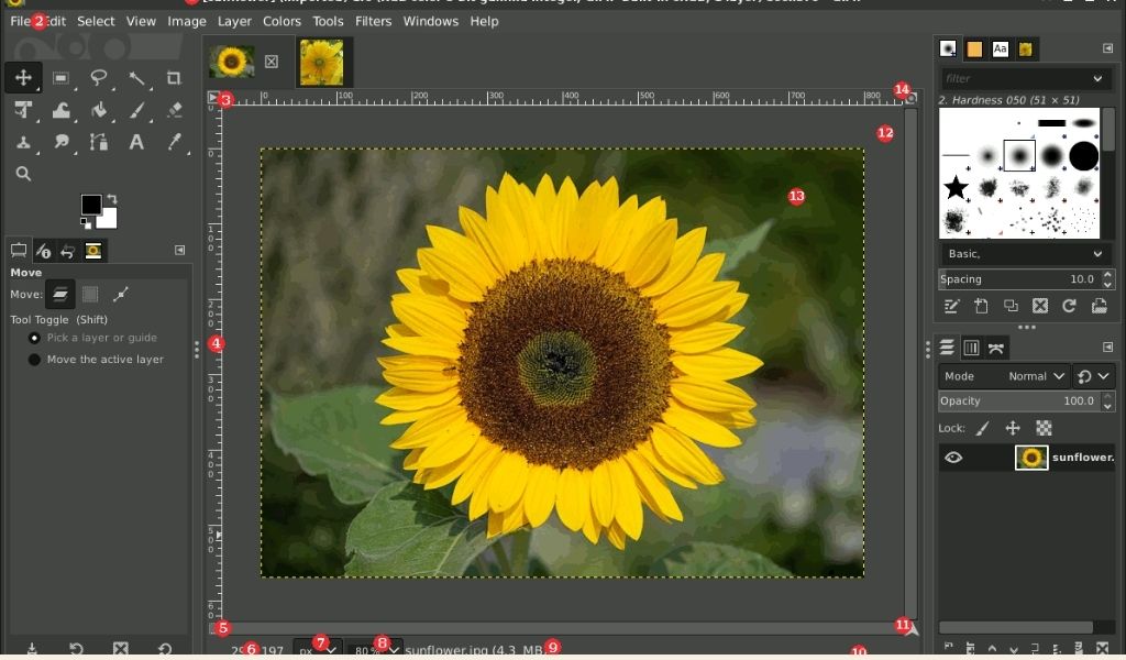 GIMP conversions tool